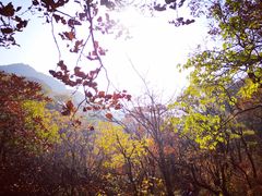 -北京灵山风景区