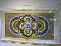 IMG_2888-上海昆虫博物馆