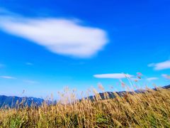 -山王坪喀斯特国家生态公园