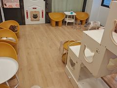 -有喵·猫咖·狗咖·30几只猫10只小狗(岗厦店)