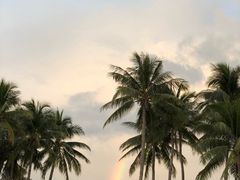 -白沙滩