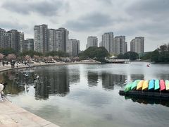 -新江湾城公园