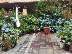 -花二家·生活馆(六运小区店)