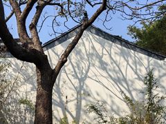 -厦门园林博览苑