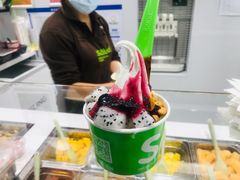 -Salud撒露欧洲冻酸奶(五道口购物中心店)