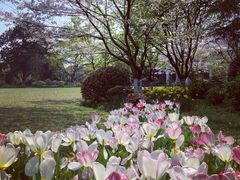 -浙江西子宾馆·瑶园咖啡厅