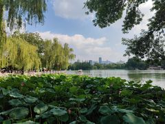 -济南大明湖景区