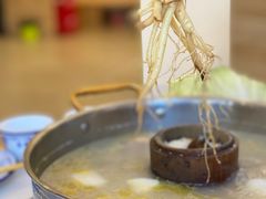 -朴小妹人参鸡汤火锅(长白山万达店)
