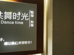 -共舞时光猫咖·狗咖(新街口店)