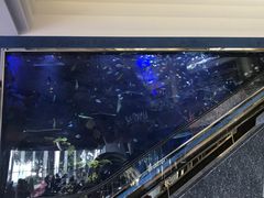 -迪拜帆船酒店海底餐厅