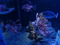 -海合安天津极地海洋公园