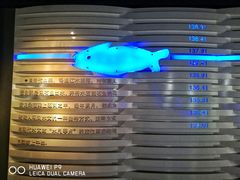 -白鹤梁水下博物馆