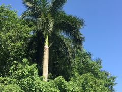 -佛山祈福仙湖酒店