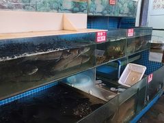 -费明中罗非鱼(大石坝店)