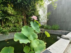 -汤宴·参须肚包鸡(南京路店)