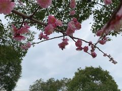 -南京市江宁方山