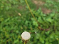 -安庆柴火馄饨(马道街店)