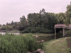 -美兰湖景区