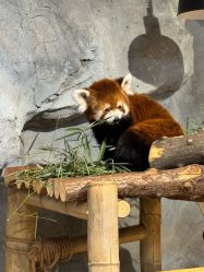 -Zoolung Zoolung动物主题公园(海信广场店)