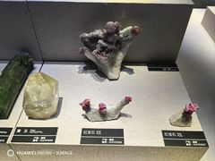 -河南自然博物馆