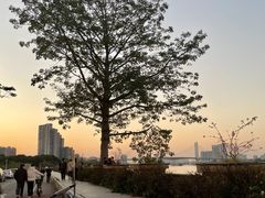 -喜洲吧·江畔老船厂·庭院餐厅(喜临院店)