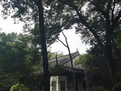 -秋霞圃