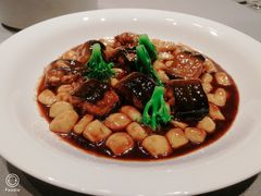 -子福慧(虹桥店)