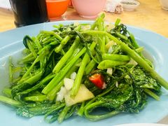 -金龙酒家
