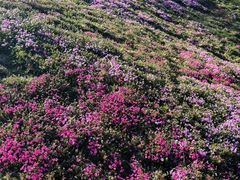 -昆嵛山石门里景区