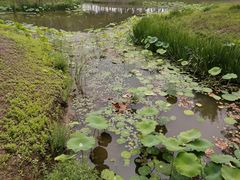 -东郊湿地公园