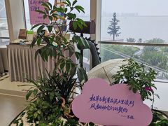 -朵云书院(滴水湖店)