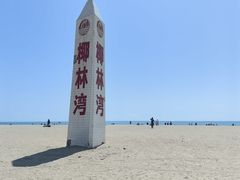 -东郊椰林