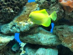 -秦皇岛新澳海底世界