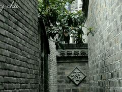-两棵枇杷树