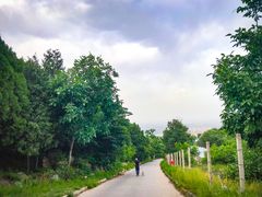 -阳台山自然风景区