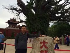 -大槐树寻根祭祖园