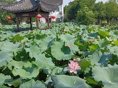 -丝绸小镇荻港古村