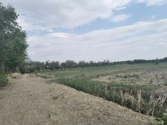 -西青郊野公园