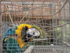 -南宫五洲植物乐园