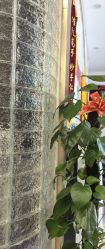 点击看大图 -清雅诗韵丽人产后恢复(回龙观店)