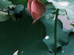 -范蠡湖公园