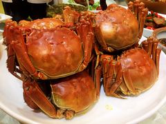 -欣旺·迎宾楼·百年无锡菜