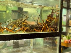 -甄御•海鲜新青岛菜(麦岛店)