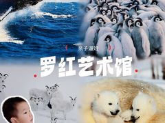 -罗红摄影艺术馆