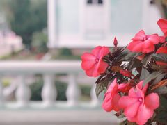 -龙环葡韵住宅式博物馆