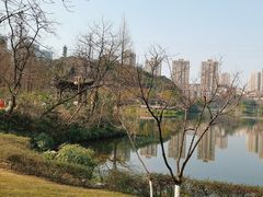 -重庆彩云湖湿地公园
