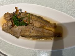 -金美华轩(东方路齐鲁店)