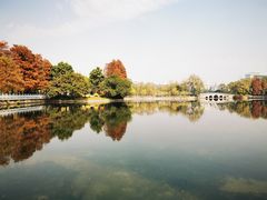 -东山湖公园