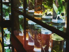 -广东中医药博物馆