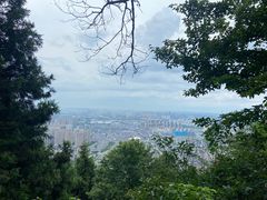 -惠山国家森林公园